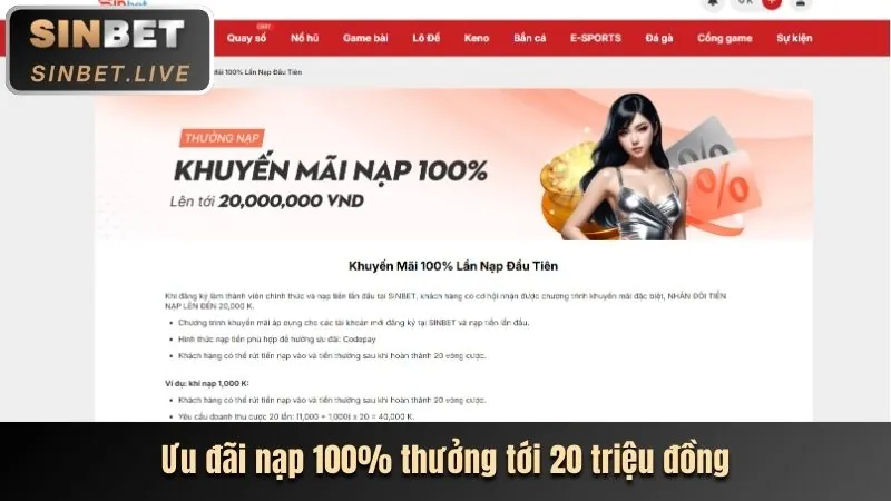 Ưu đãi độc quyền cho VIP